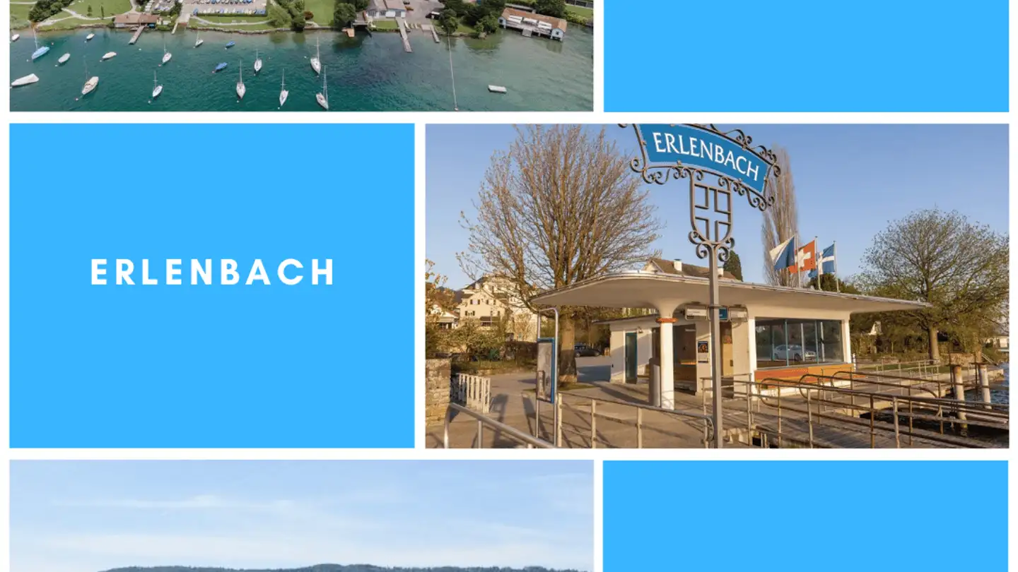 Villa for sale - 8703 Erlenbach ZH