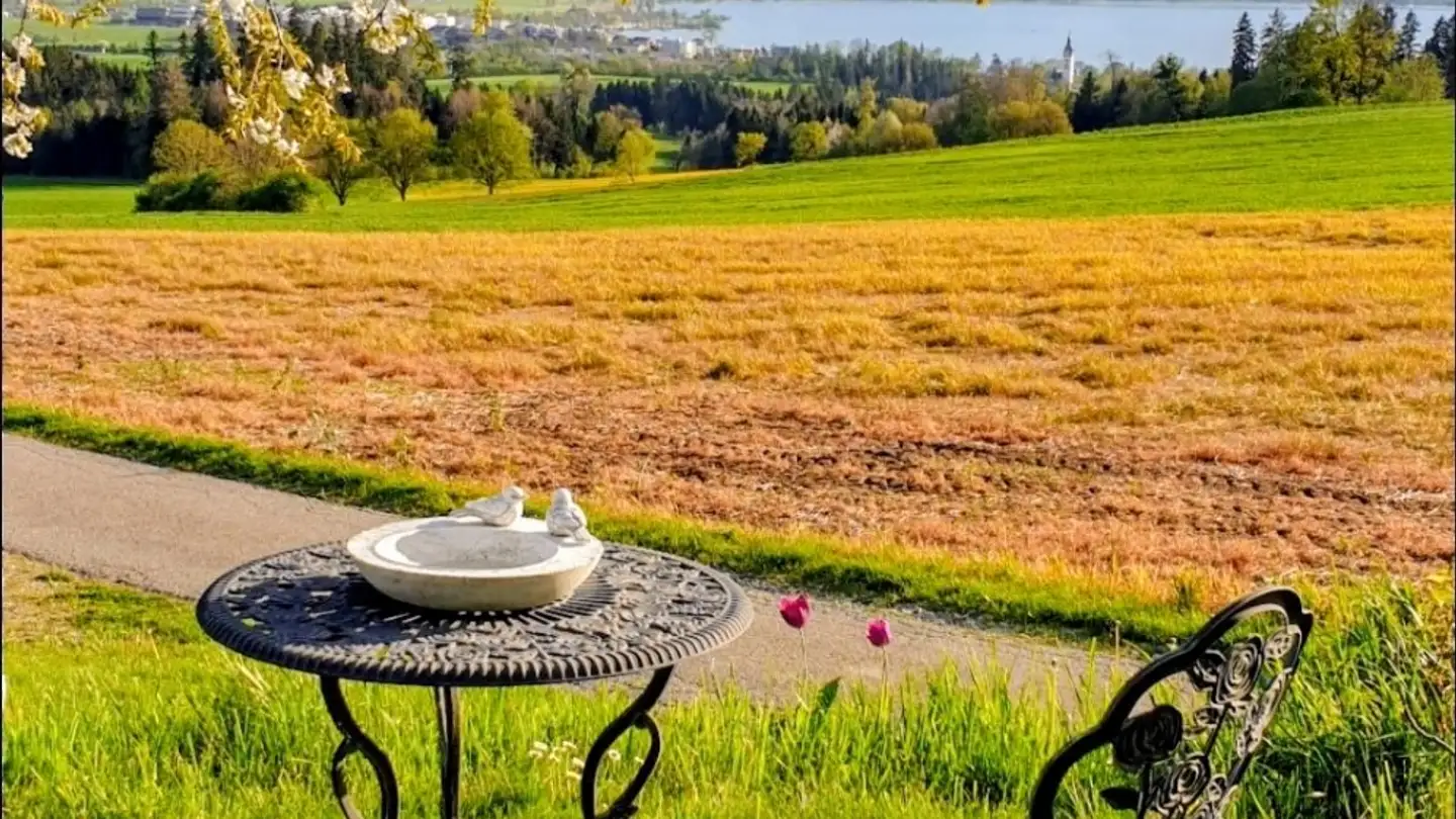 Chambre à louer - 6204 Sempach