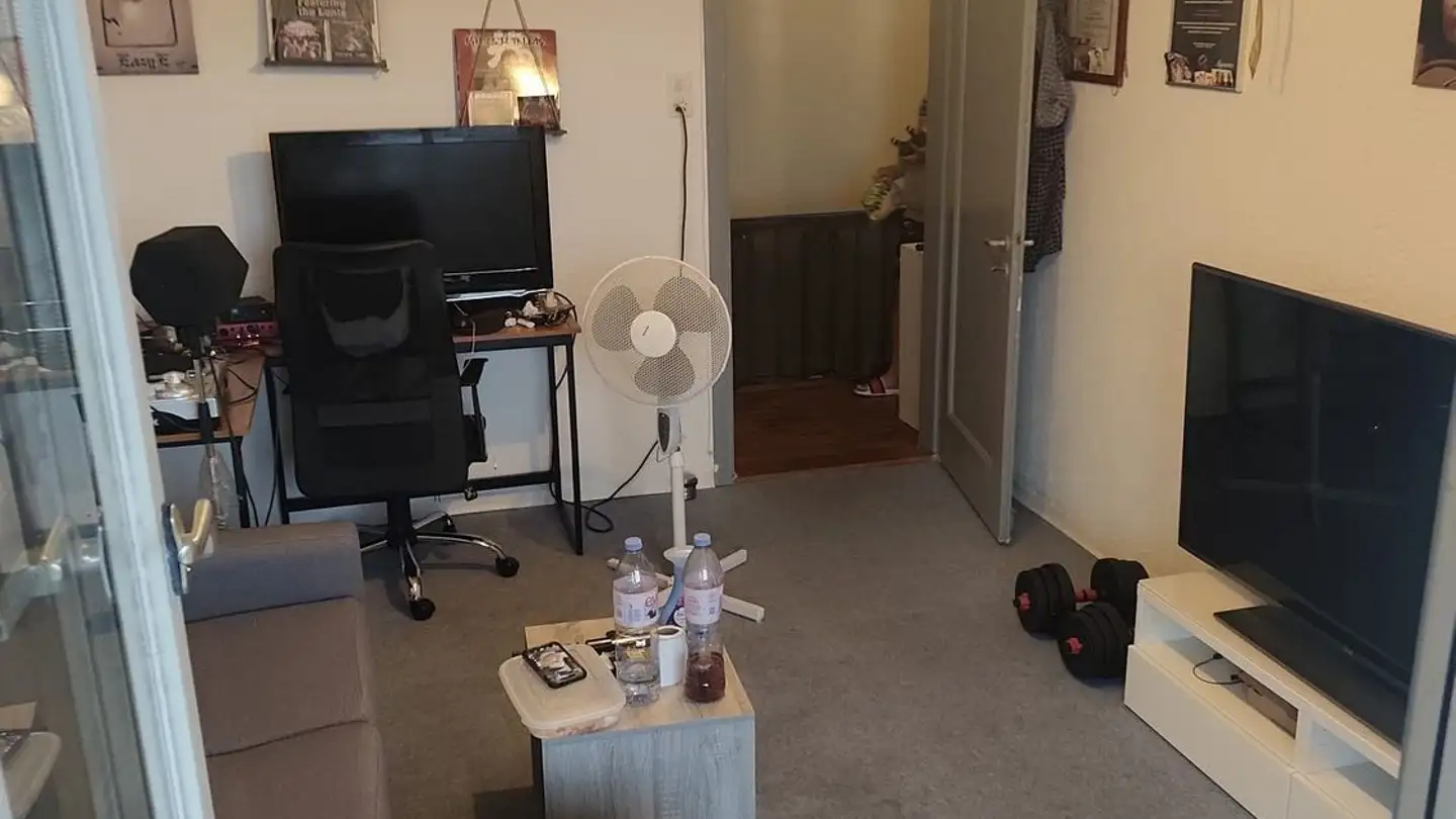 Single room for rent - Strumbergweg, 8907 Wettswil - Photo 4