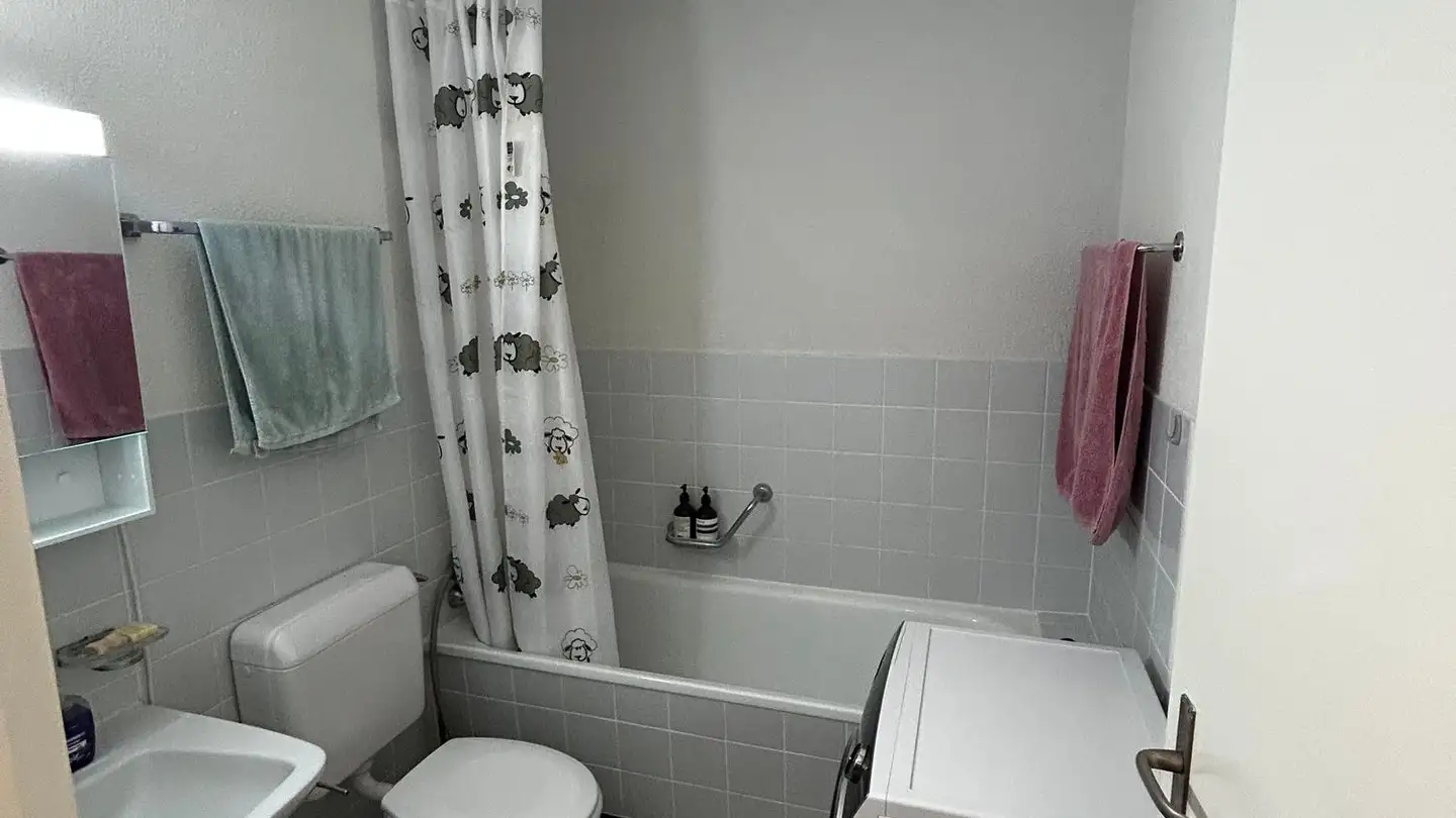 Appartement à louer - Im Wattbuck 1, 8307 Effretikon - Photo 2