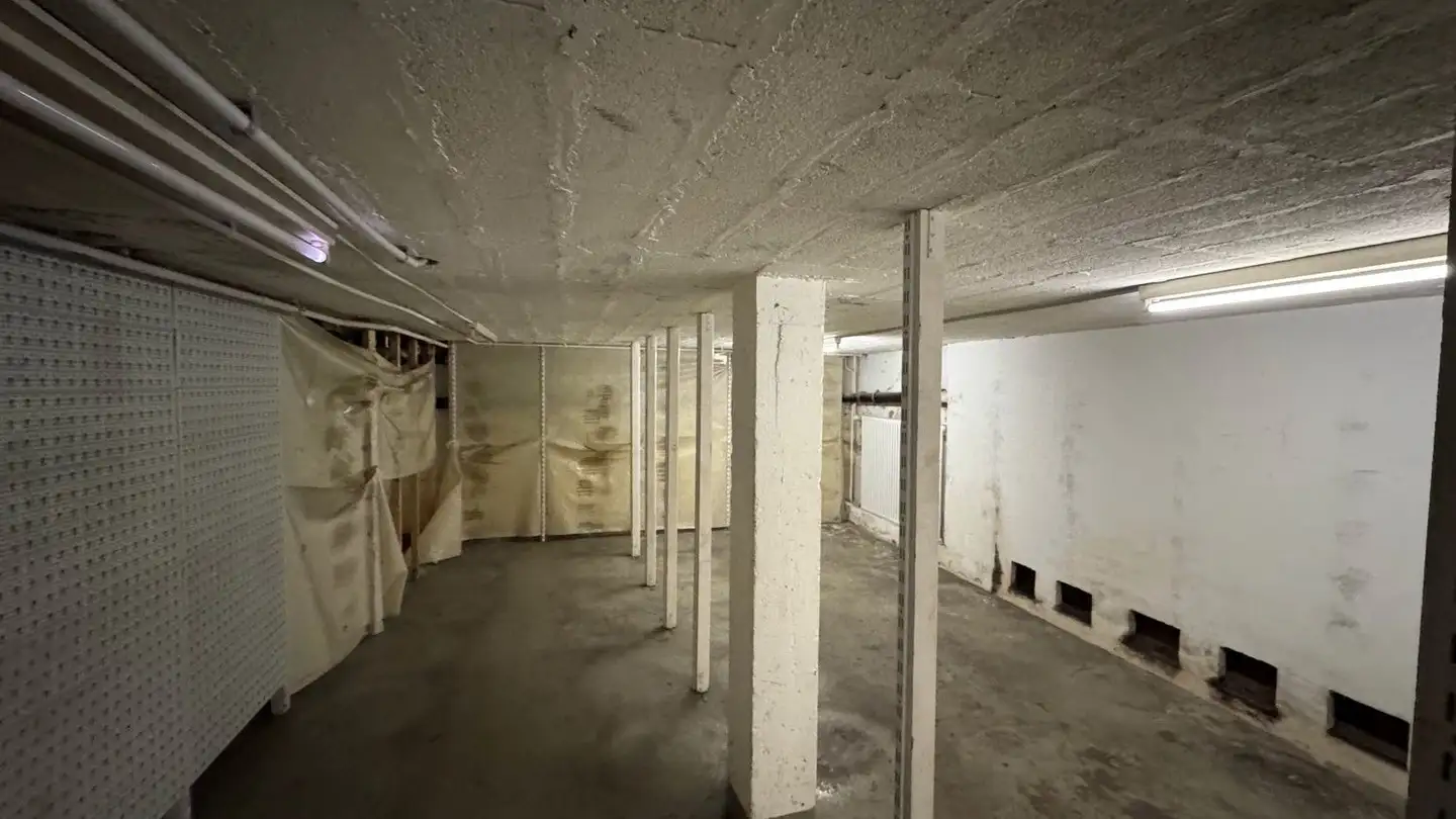 Lagerraum mieten - Rue Jean- Dassier 5, 1201 Genève