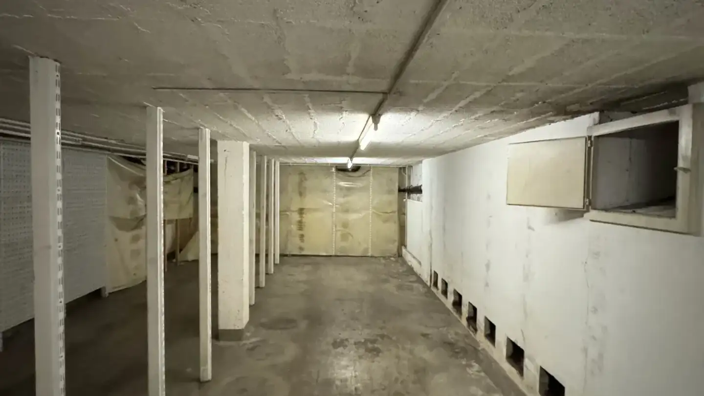 Lagerraum mieten - Rue Jean- Dassier 5, 1201 Genève - Foto 4