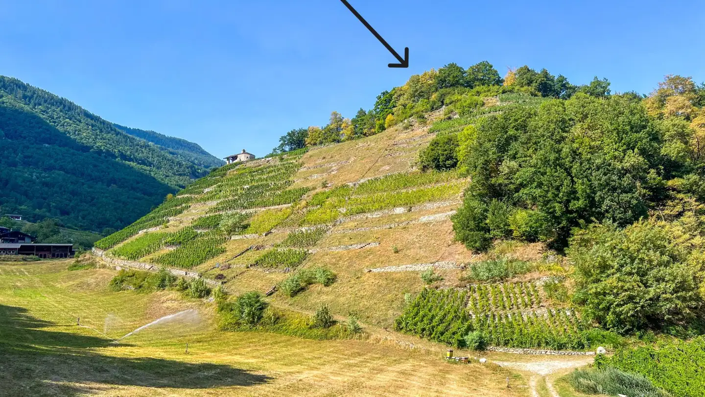 Farm for sale - 1920 Martigny - Photo 3