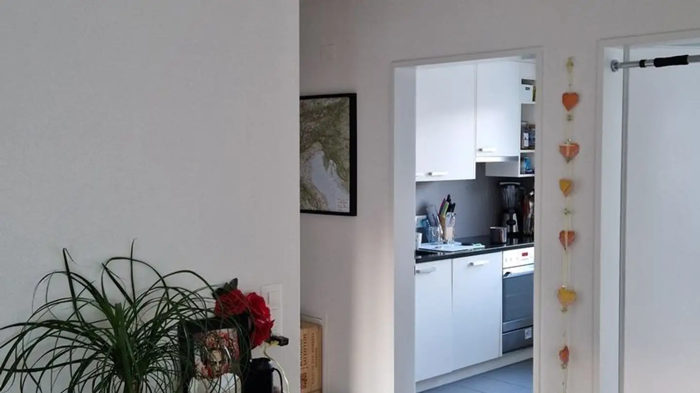Appartement à louer - Langgasse 92, 8400 Winterthur