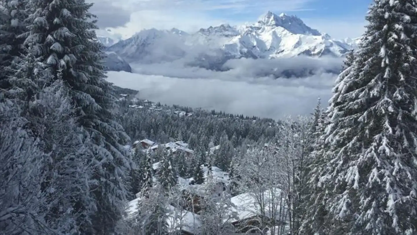 Einfamilienhaus kaufen - 1884 Villars-sur-Ollon - Foto 3