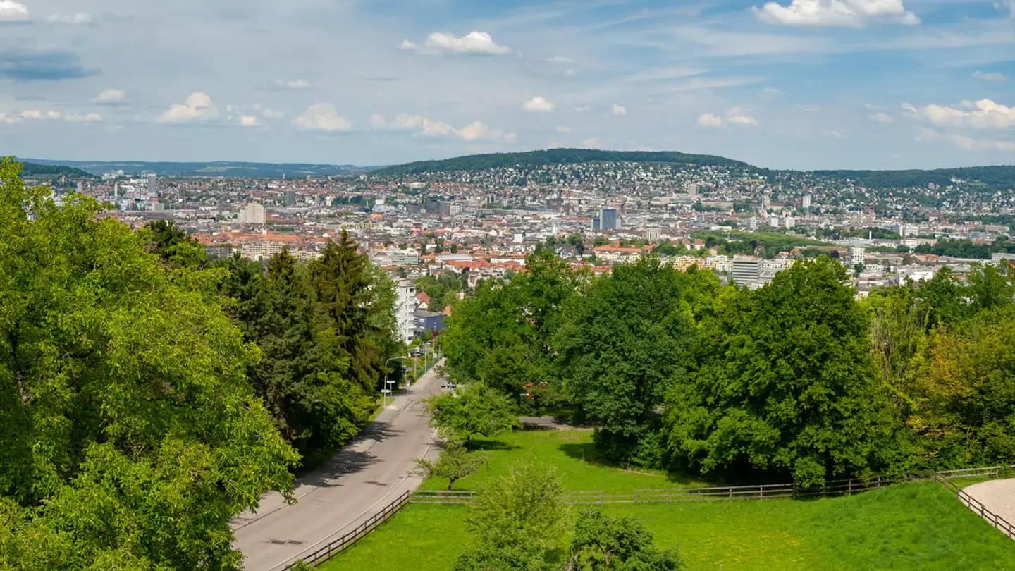 Wohnung mieten - Zielweg 80, 8055 Zürich