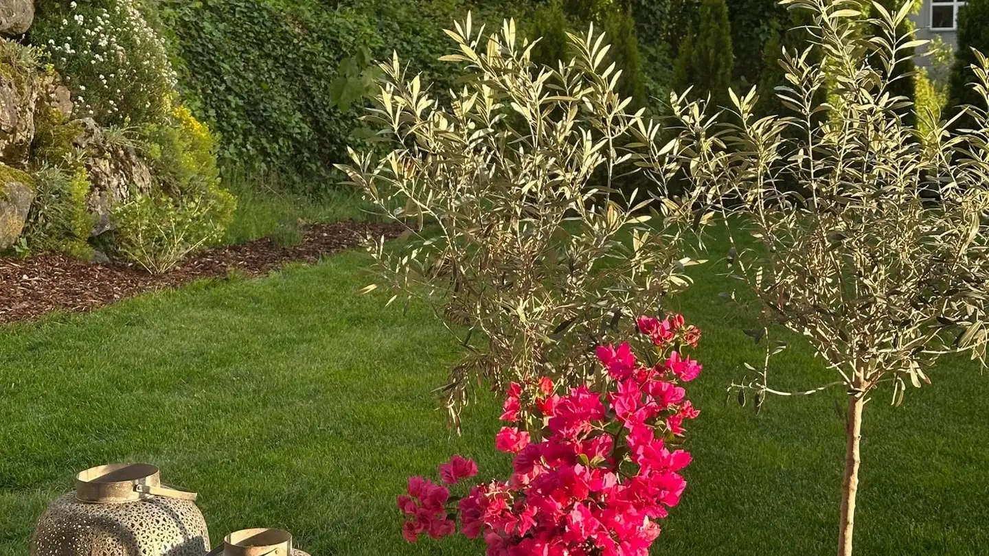 Apartment for rent - Ernetschwilerstrasse 30, 8737 Gommiswald - Photo 4