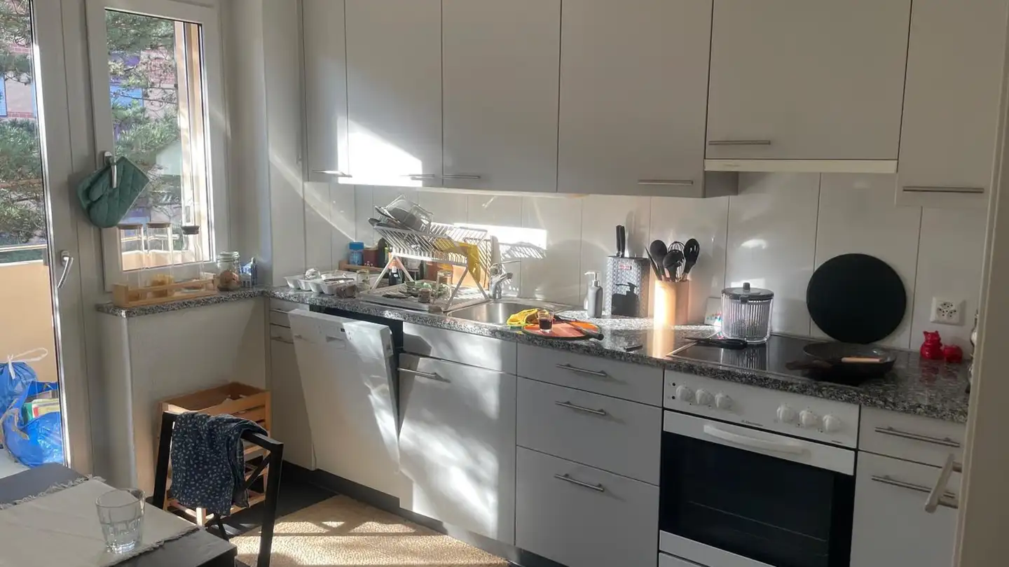 Single house for rent - Schönaustrasse, 4058 Basel - Photo 4