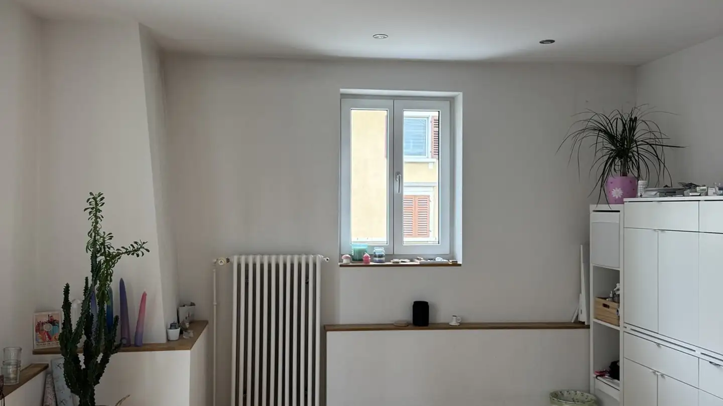 Single room for rent - Tösstalstrasse 91, 8400 Winterthur