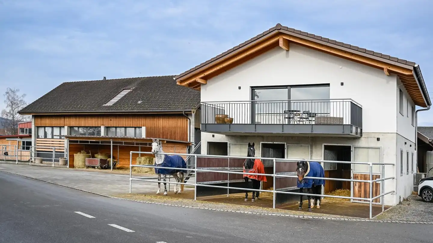 Entreprise agricole à vendre - Wiesenstrasse 37, 5734 Reinach AG