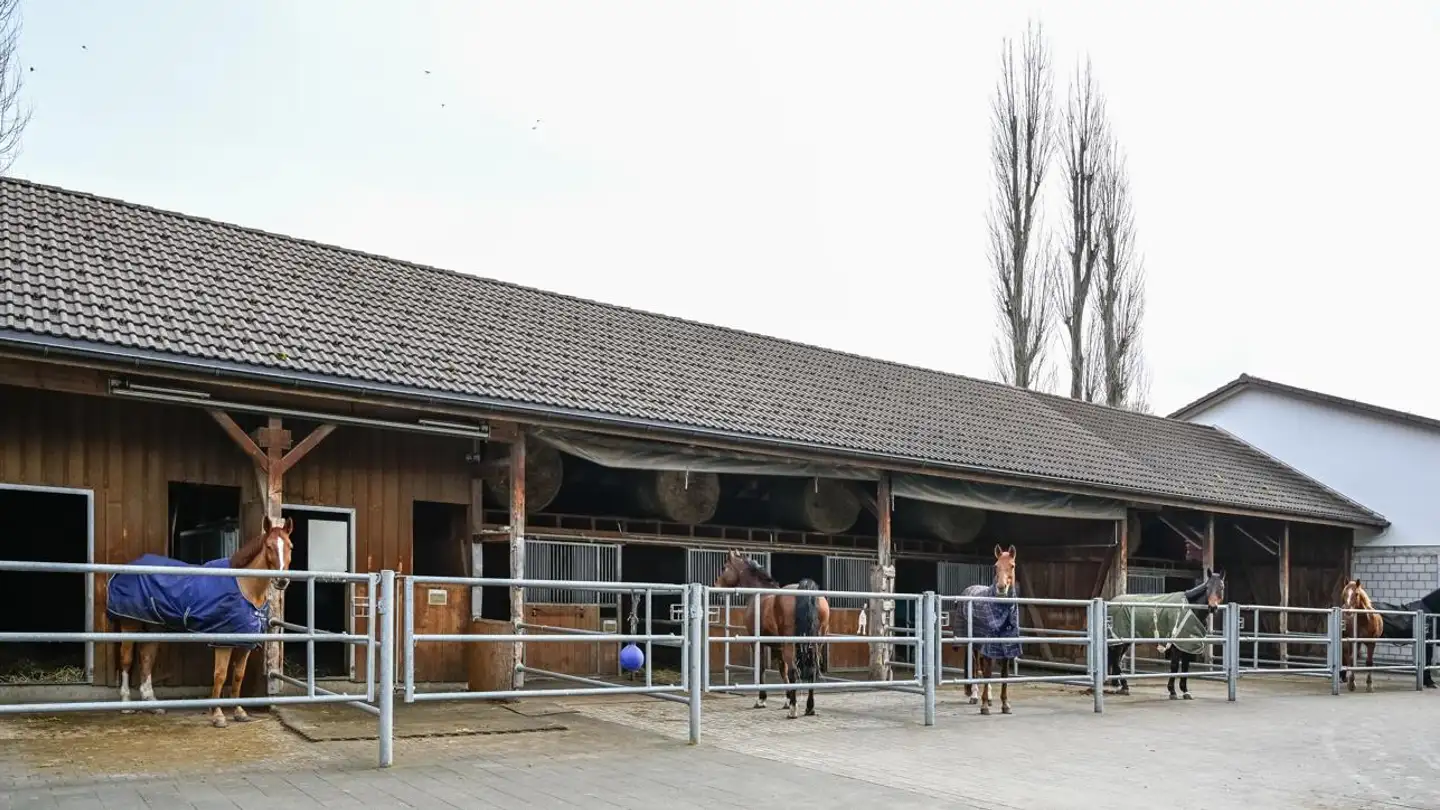 Entreprise agricole à vendre - Wiesenstrasse 37, 5734 Reinach AG - Photo 4