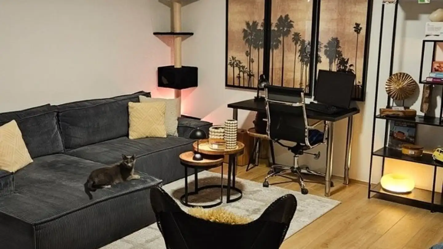 Appartamento in affitto - Dufourstrasse 54, 8570 Weinfelden - Foto 4