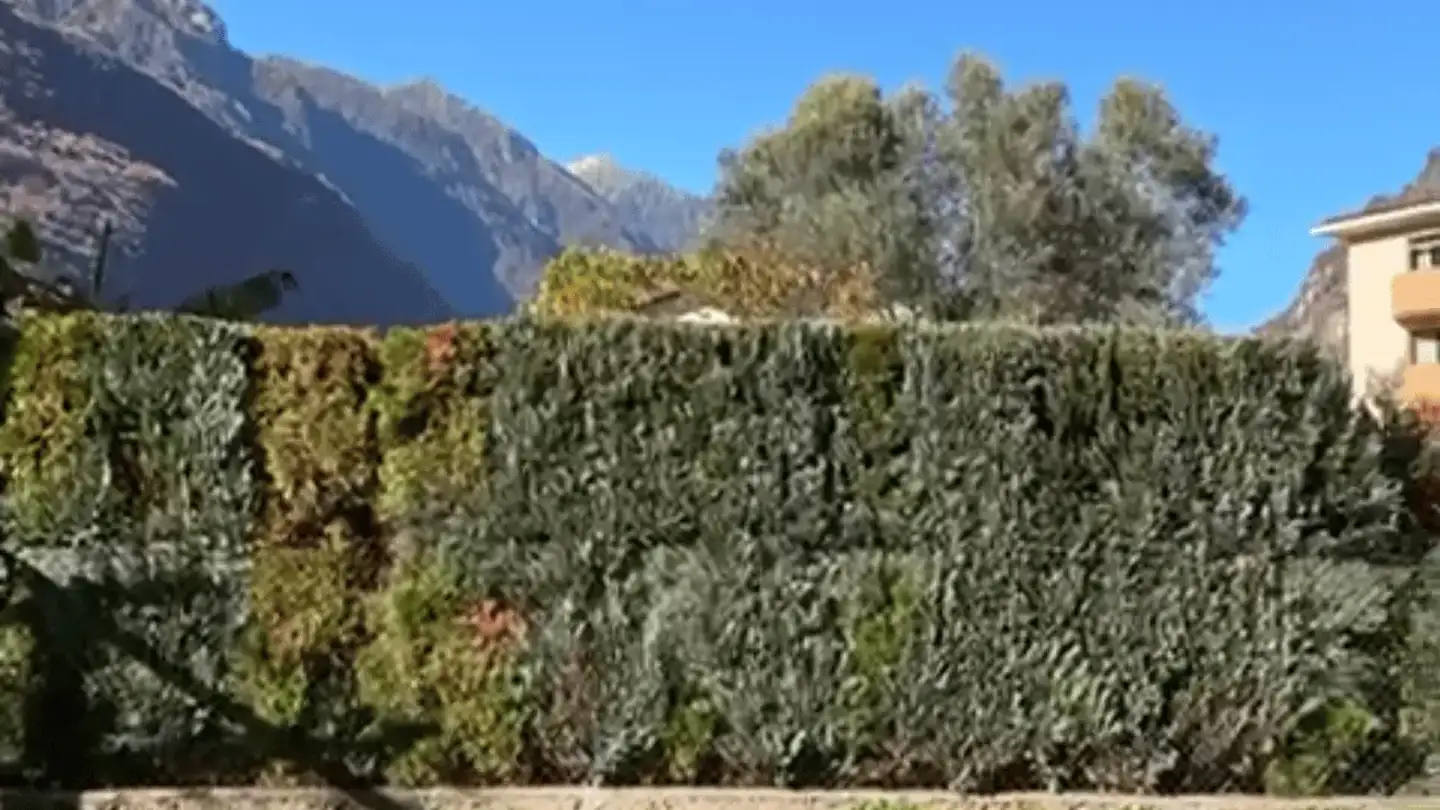 Appartement à louer - Via Macello 2, 6710 Biasca