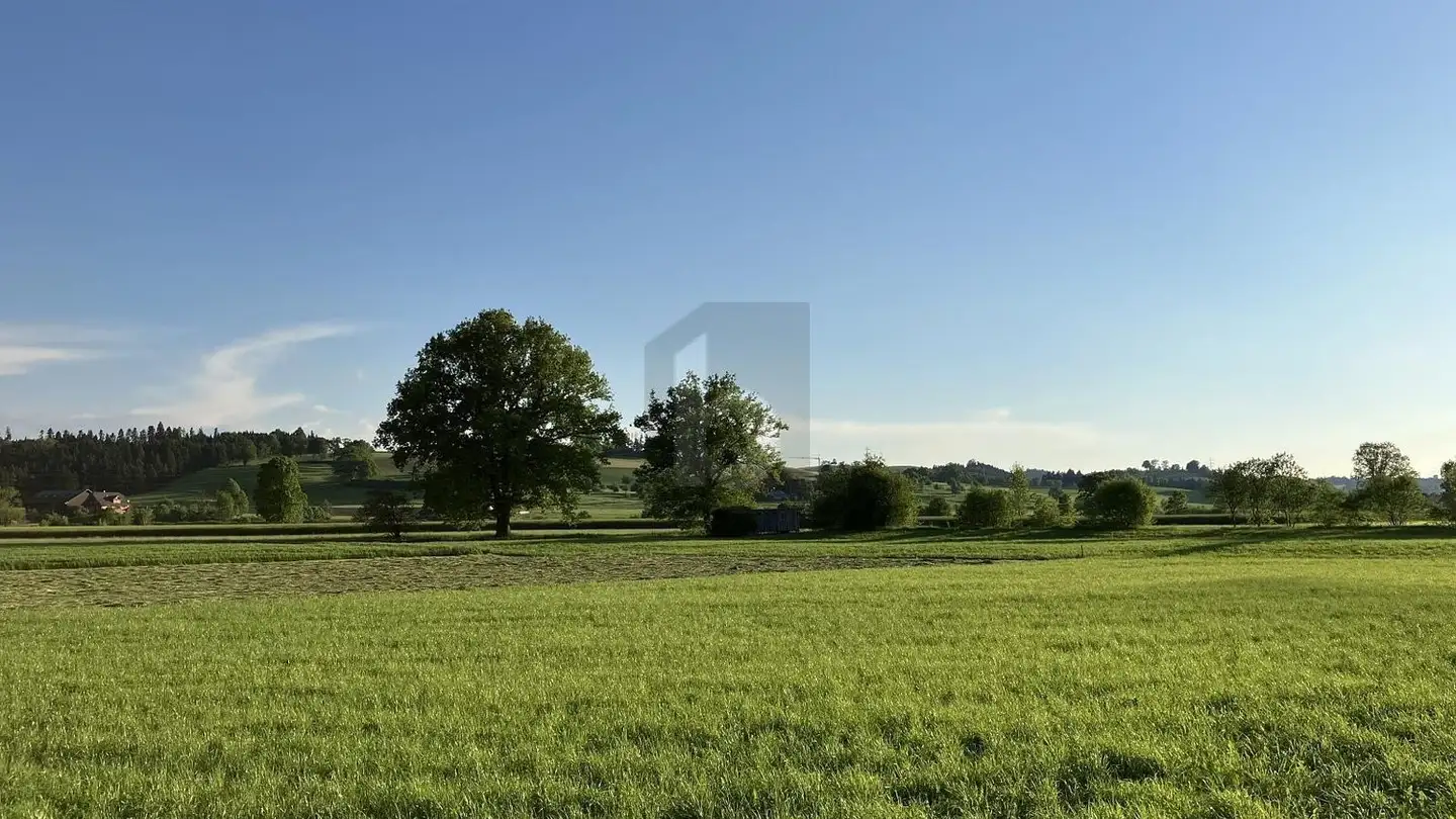 Office space for rent - 6018 Buttisholz - Photo 4