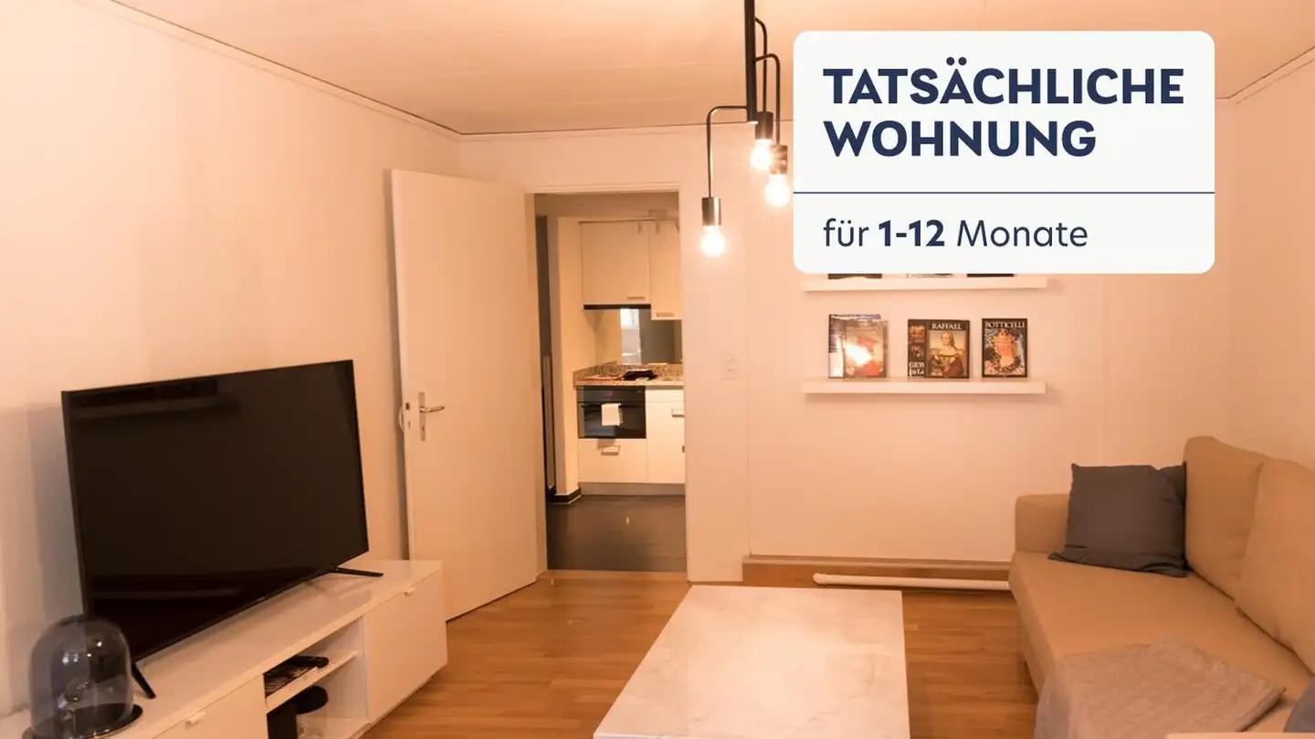 Furnished apartment for rent - Neugasse 19, 6300 Zug