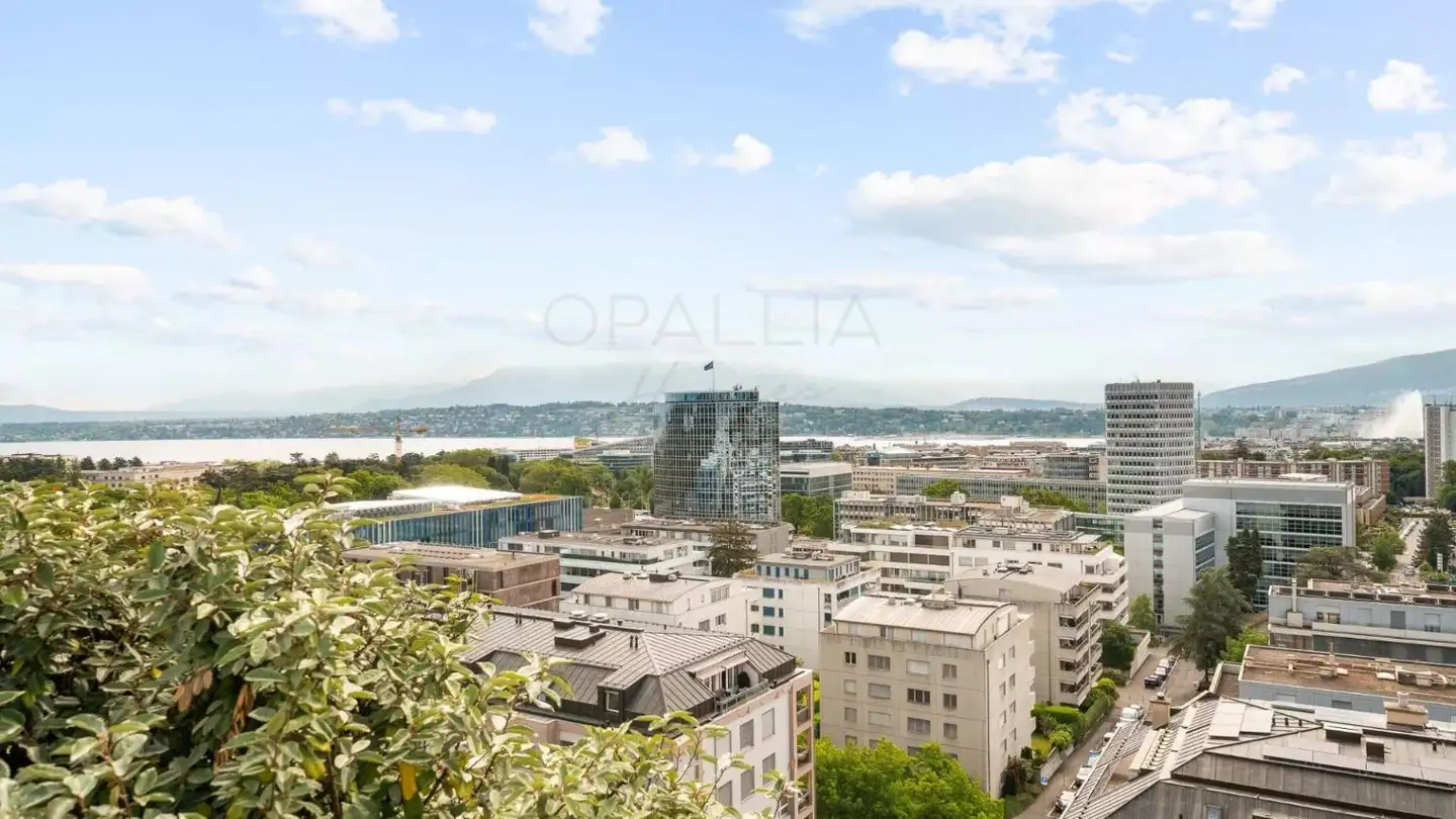 Wohnung kaufen - 1209 Genève