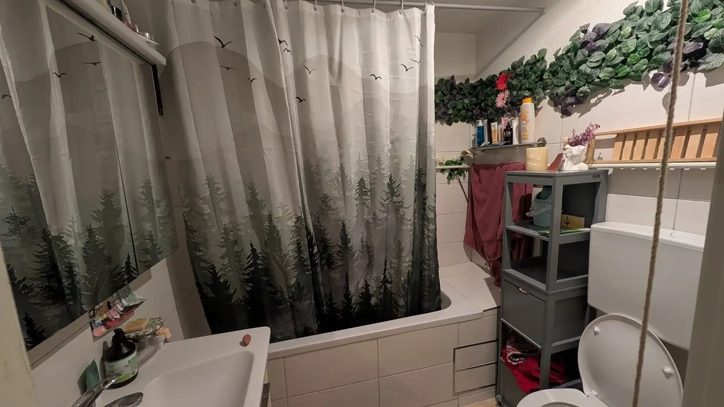 Zimmer mieten - Reinacherstrasse, 4053 Basel - Foto 4