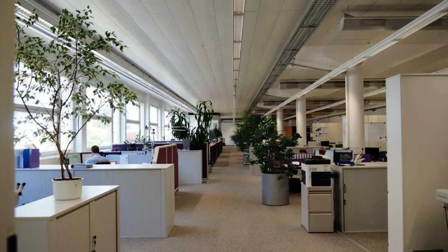 Commerciale in affitto - Pilatusring 2, 5630 Muri AG - Photo 2