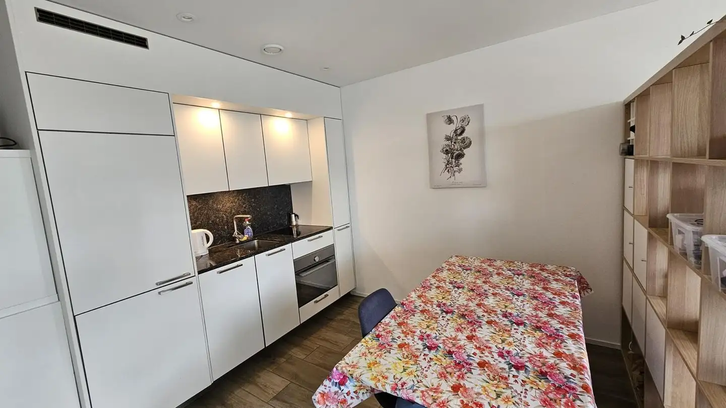 Appartamento in affitto - Am Stadtrand 56, 8600 Dübendorf
