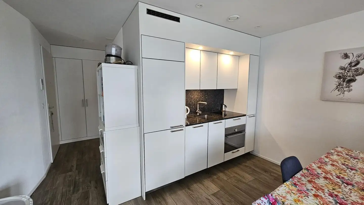 Appartamento in affitto - Am Stadtrand 56, 8600 Dübendorf - Foto 4