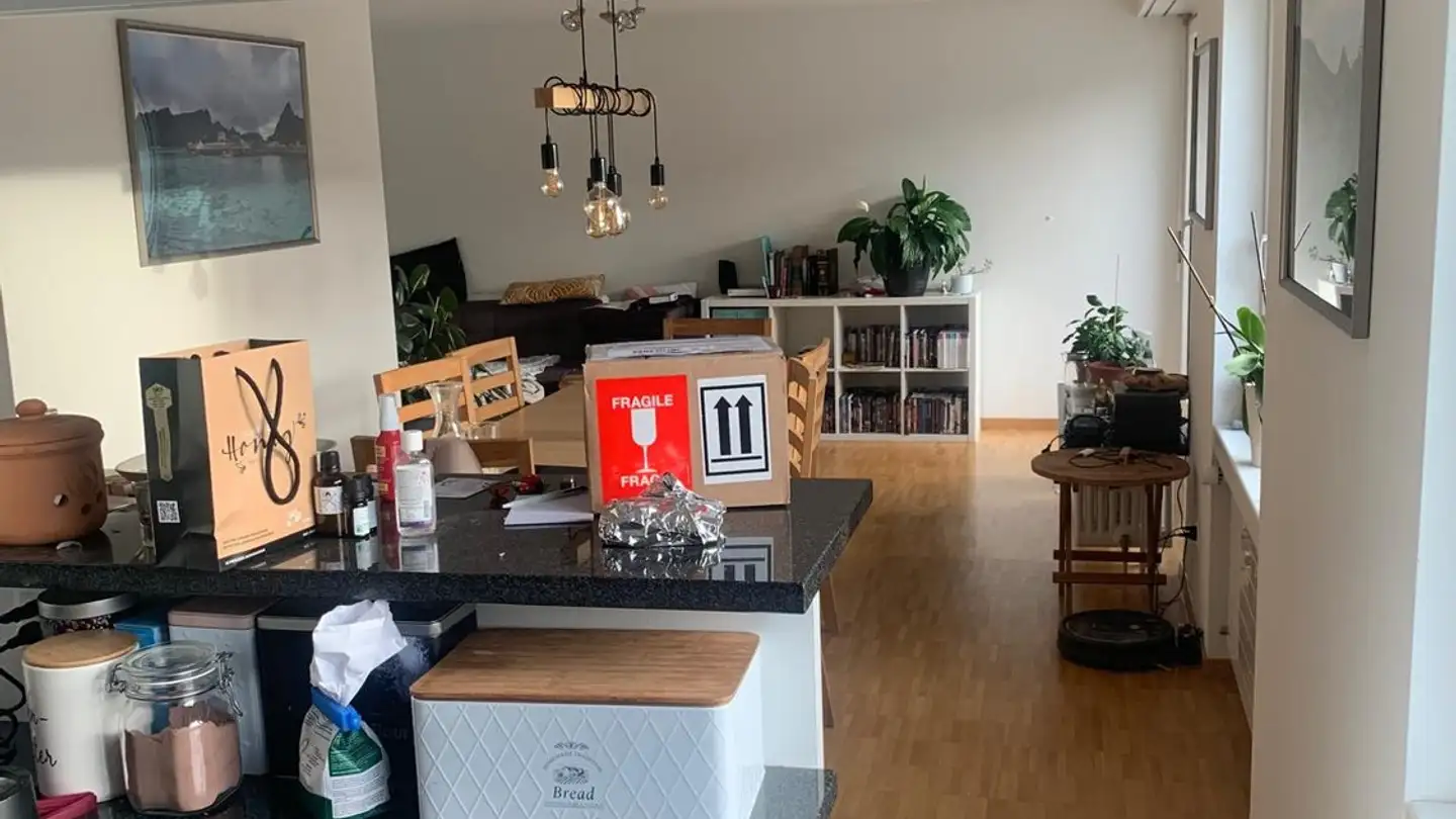 Apartment for rent - Rodteggstrasse 14, 6005 Luzern - Photo 2