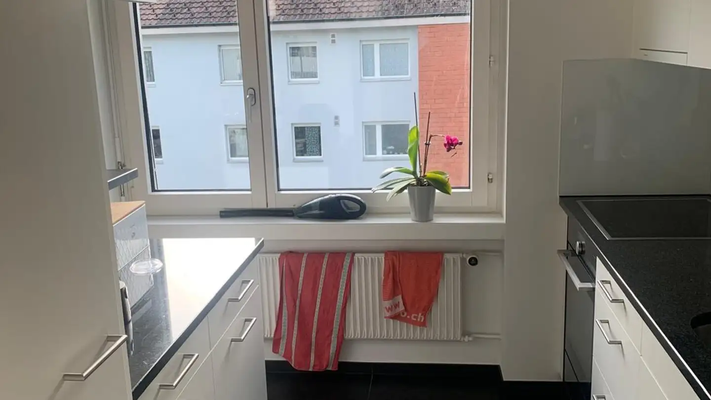 Apartment for rent - Rodteggstrasse 14, 6005 Luzern - Photo 3