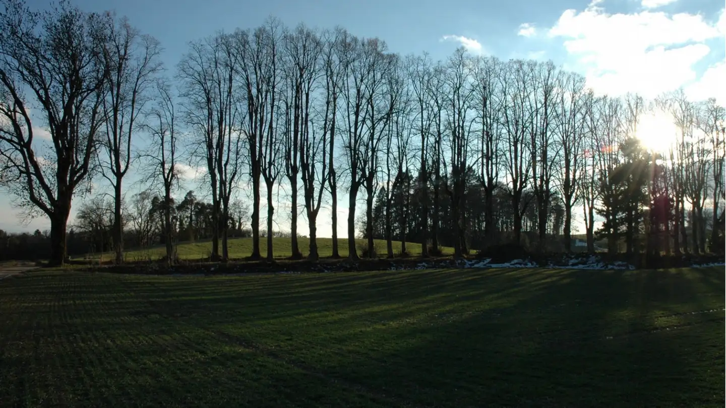 Casa singola in vendita - 2019 Rochefort - Photo 4