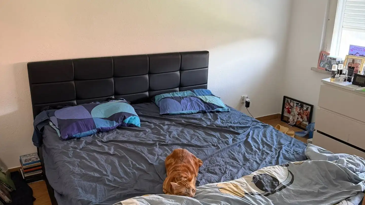 Wohnung mieten - 6982 Agno - Foto 2