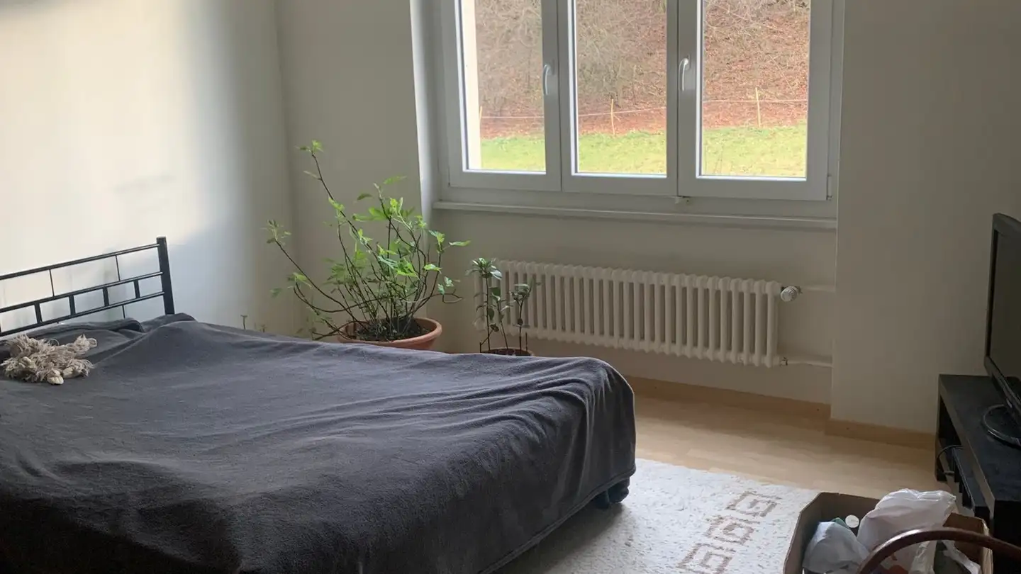 Appartement à louer - Place De La Gare 6, 2607 Cortébert - Photo 4