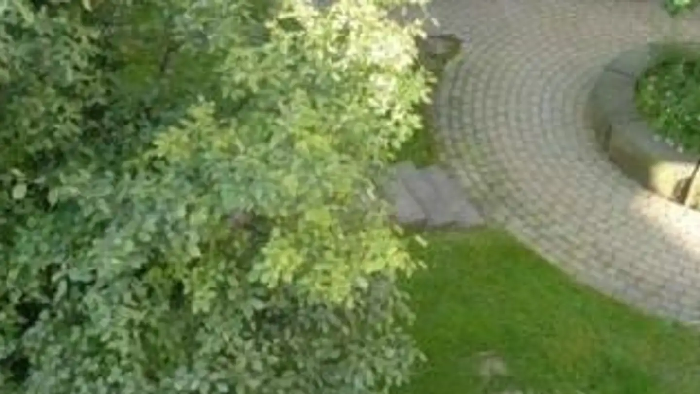 Apartment for rent - Linsebühlstrasse 96, 9000 St. Gallen - Photo 3