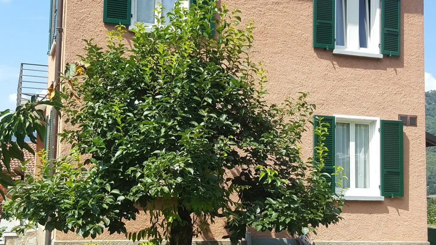 Einfamilienhaus mieten - Strada Cantonale 43, 6964 Davesco-Soragno