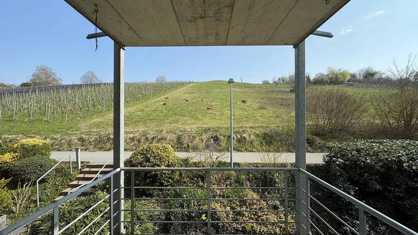 Wohnung mieten - Neuwingertstrasse 11, 8447 Dachsen - Foto 2