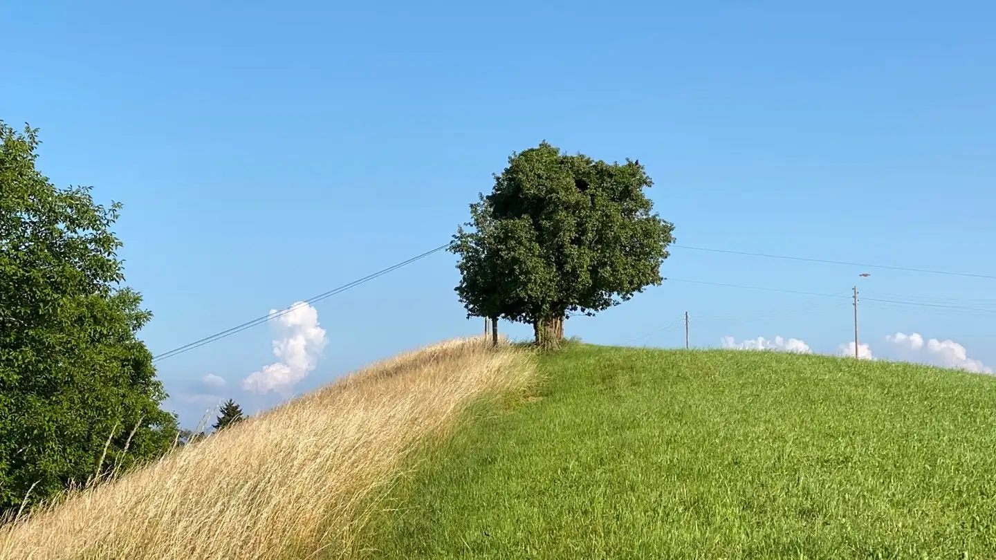 Einfamilienhaus mieten - 8618 Oetwil am See