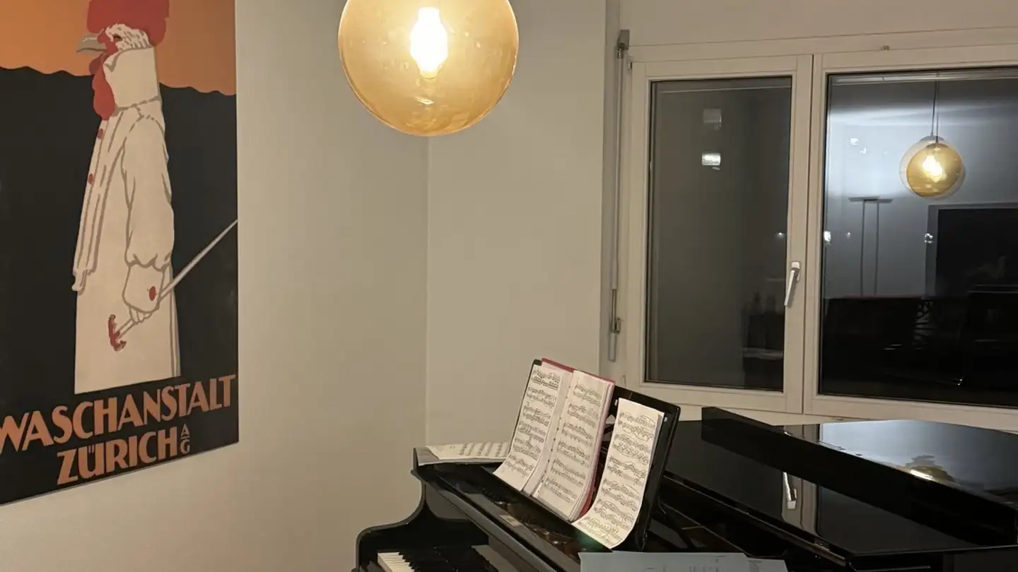 Chambre à louer - Neumünsterstrasse 26, 8008 Zürich - Photo 4