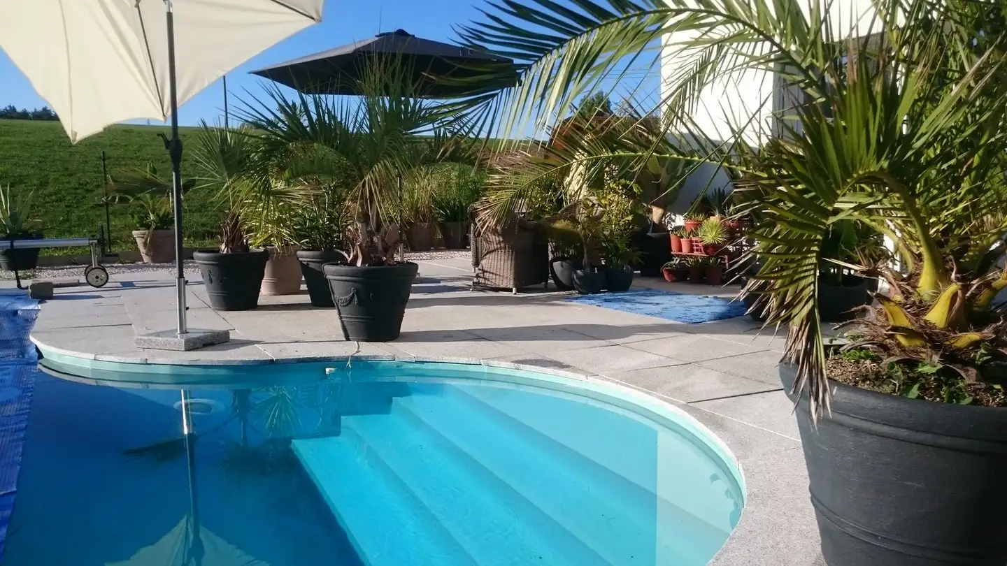 Villa kaufen - Bierhausstrasse 10, 1712 Tafers - Foto 3