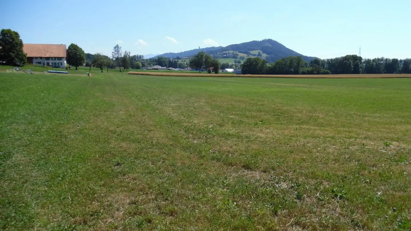 Terreno edificabile industriale in vendita - 1607 Palézieux-Village