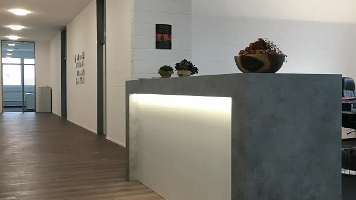 Commerciale in affitto - Grenzstrasse 3a, 6214 Schenkon - Photo 4