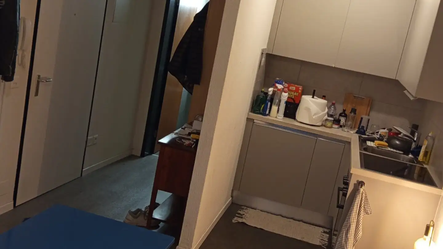 Single house for rent - Via Della Gallinazza 7, 6600 Locarno