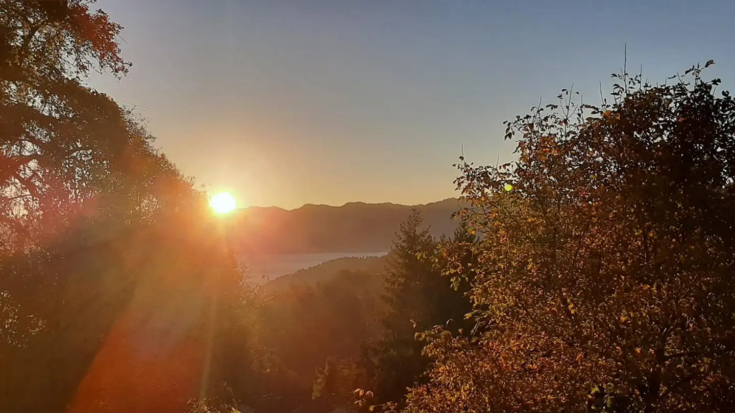 Fattoria in affitto - Eschenmoosstrasse 83, 9413 Oberegg - Photo 4