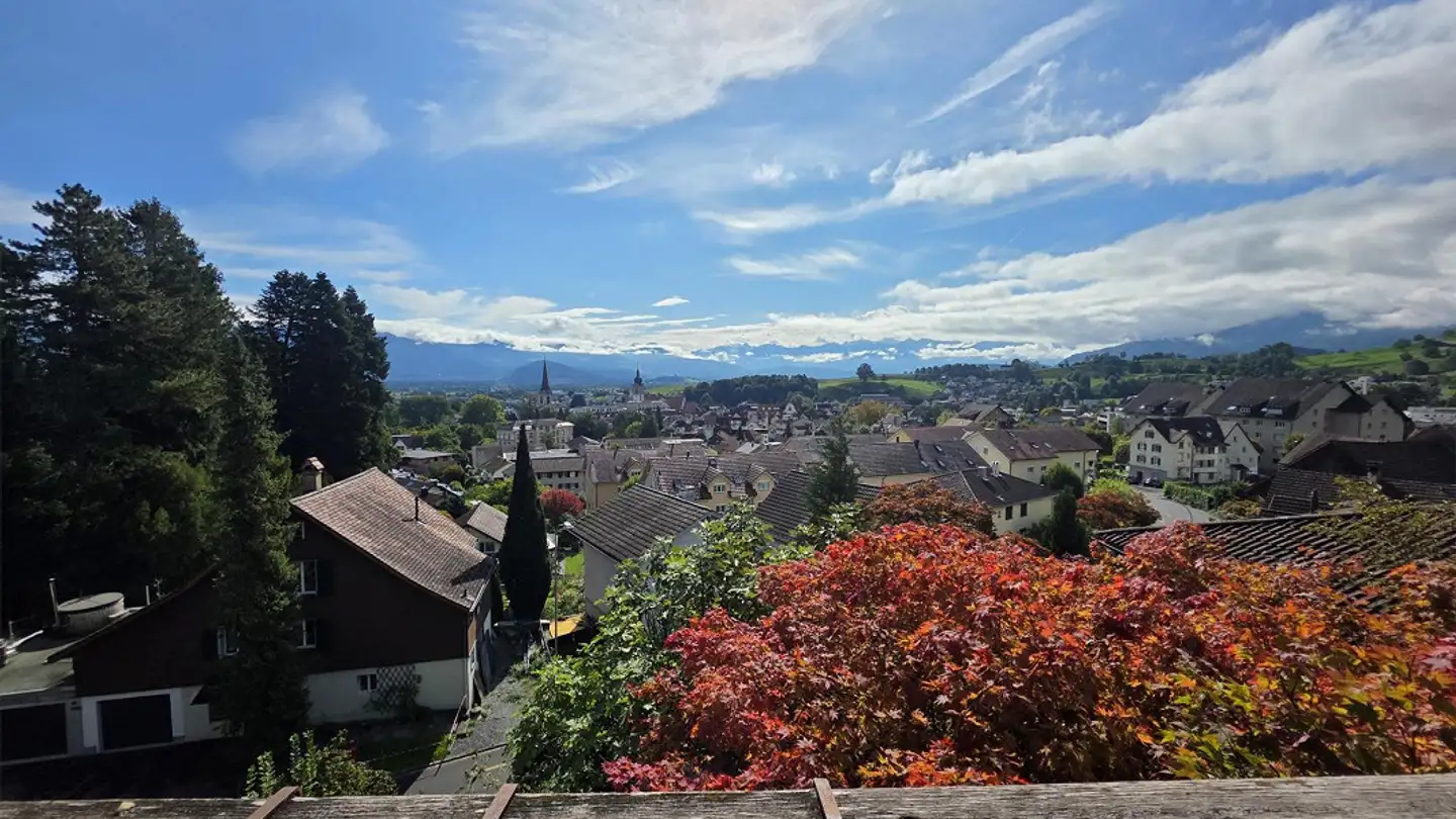 Chalet à louer - Trogenerstrasse 43, 9450 Altstätten SG