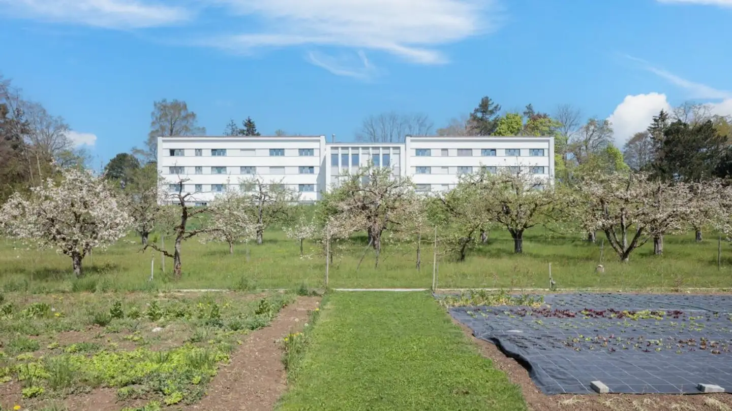 Negozio in vendita - Chemin Des Eaux-Vives 17, 1752 Villars-sur-Glâne - Photo 3