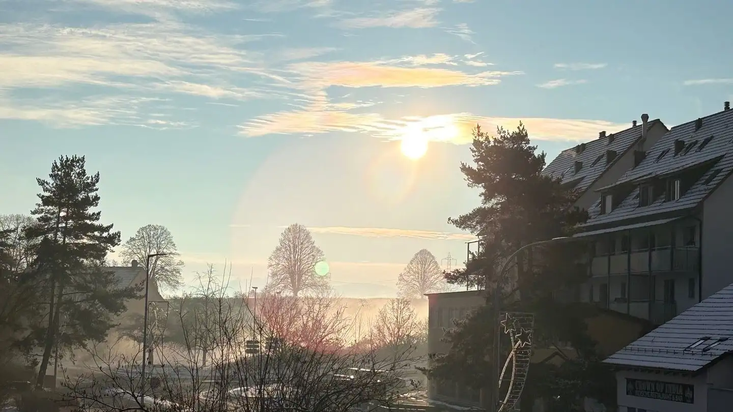 Appartement à louer - Zürichstrasse 108, 8123 Ebmatingen