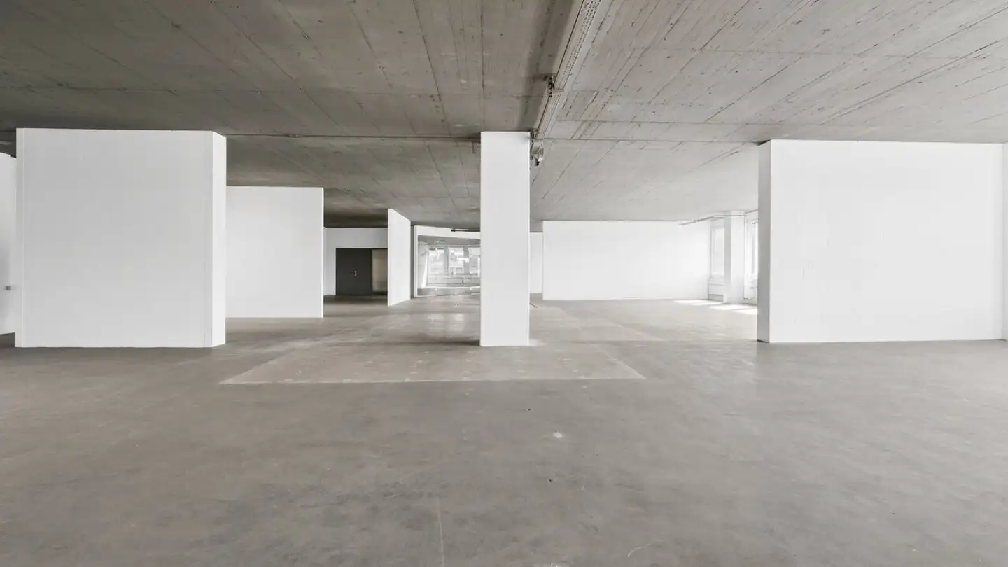 Commercial for rent - Riedstrasse 14, 8953 Dietikon