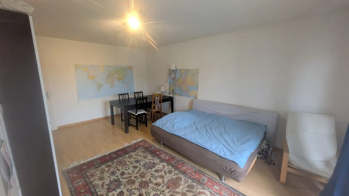 Chambre à louer - Luegislandstrasse 410, 8051 Zürich