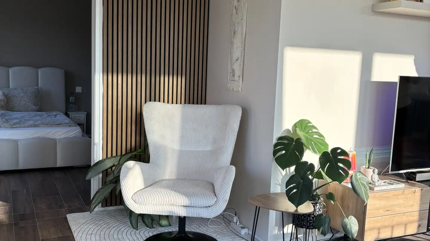 Appartamento ammobiliato in affitto - 4133 Pratteln - Photo 4