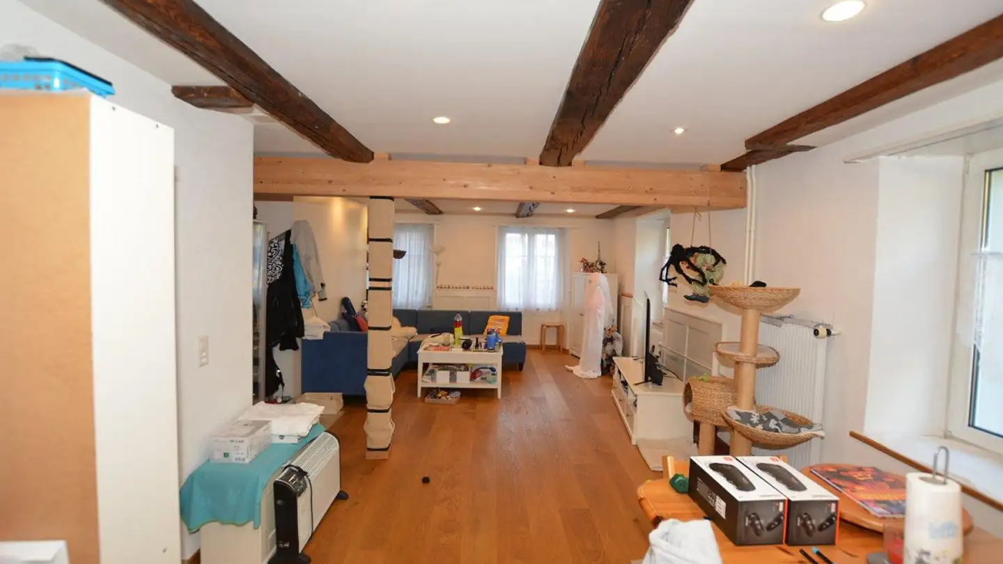 Einfamilienhaus kaufen - Hauptstrasse 37, 4107 Ettingen - Foto 3