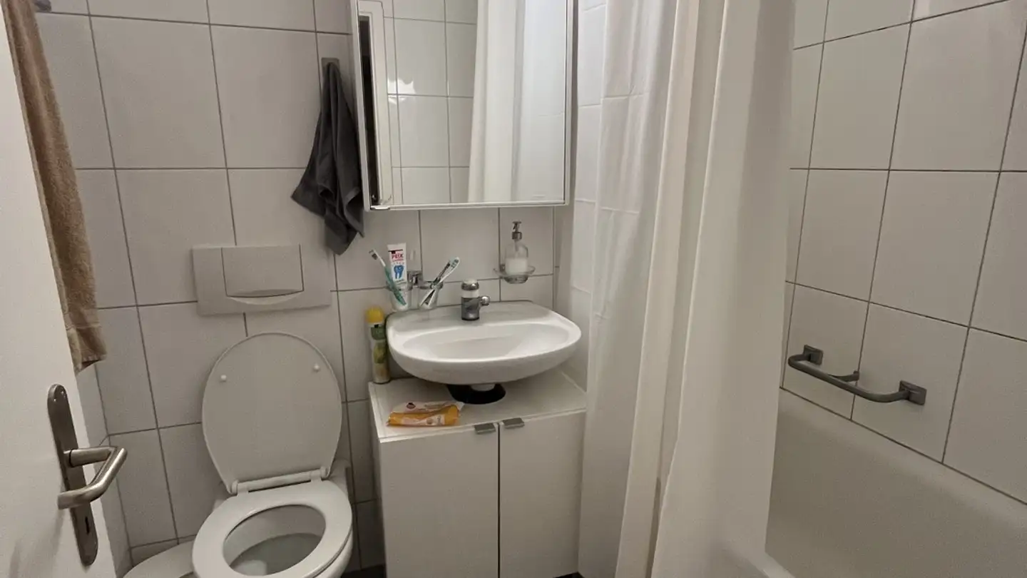 Appartamento in affitto - Aescherstrasse 3, 8903 Birmensdorf ZH - Photo 3