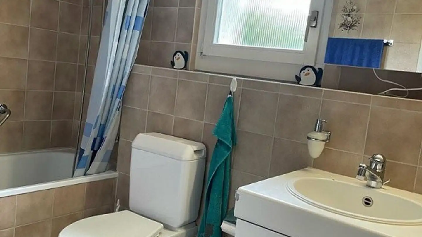 Appartamento in affitto - Leimernweg 18, 3270 Aarberg - Photo 3