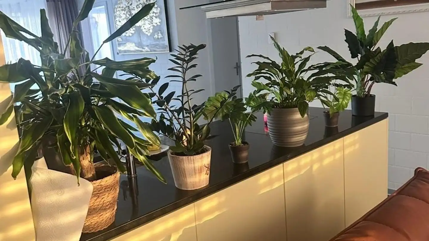 Wohnung mieten - Route Henri Druey 12, 1595 Faoug - Foto 3