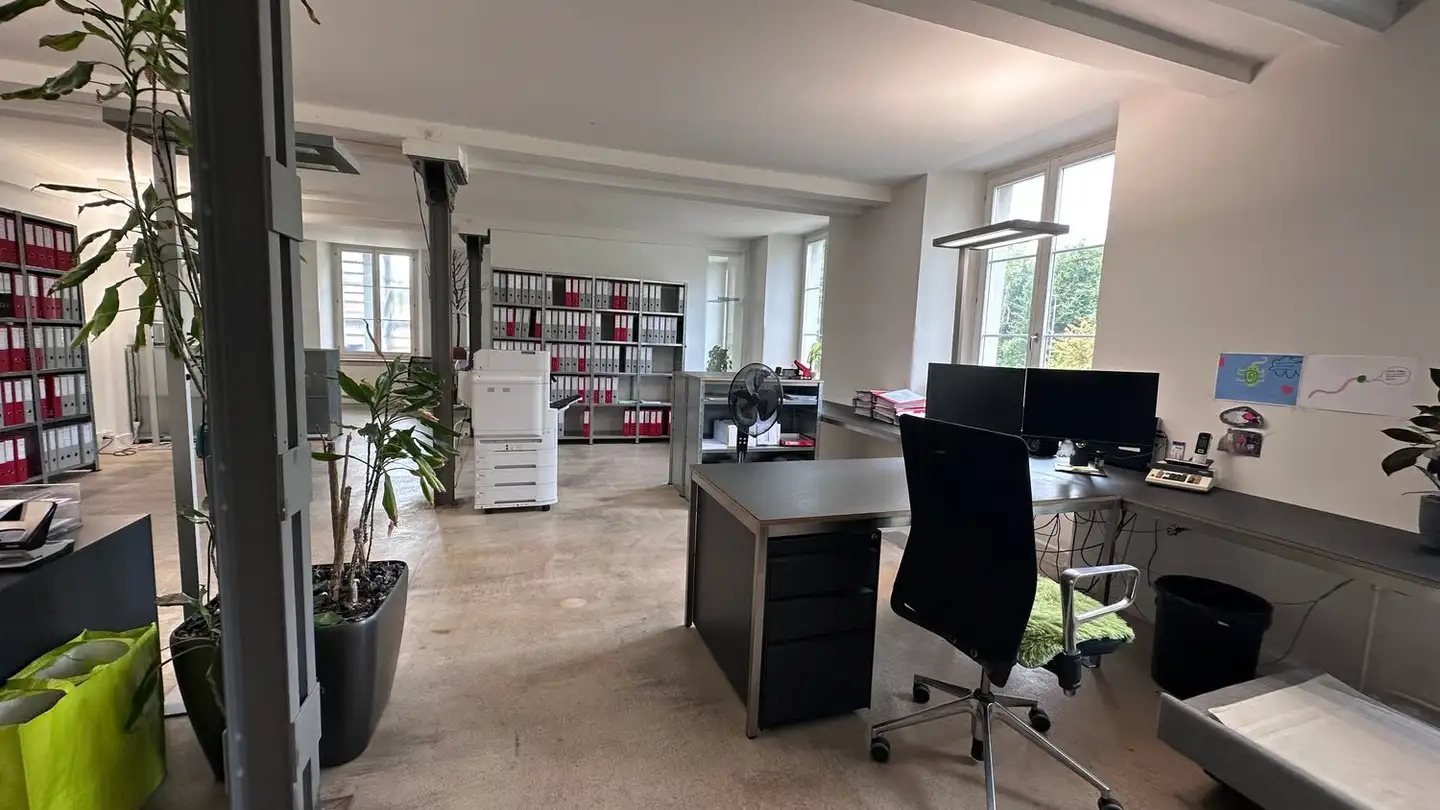 Grande magazzino in affitto - Aathalstrasse 84, 8610 Uster - Foto 4